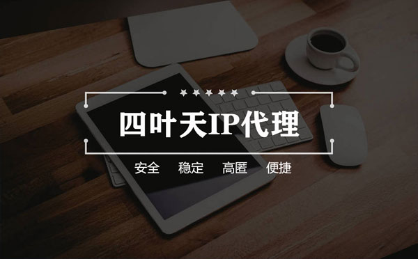 【石嘴山代理IP】如何快速搭建代理IP？怎么检查代理的效果？